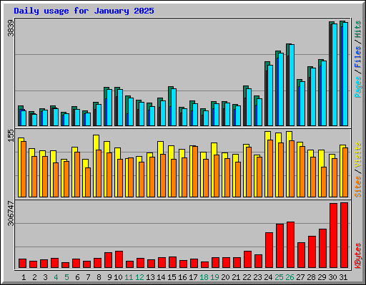 Daily usage for January 2025