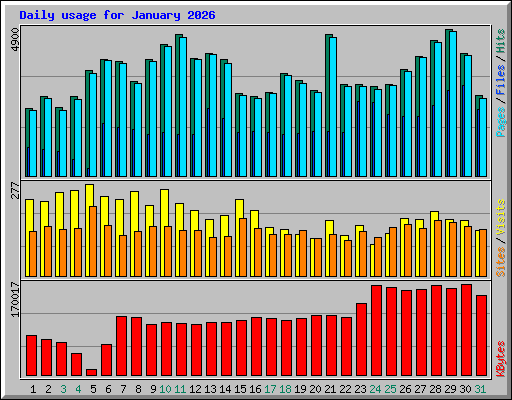 Daily usage for January 2026