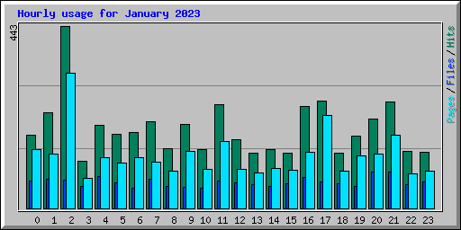 Hourly usage for January 2023
