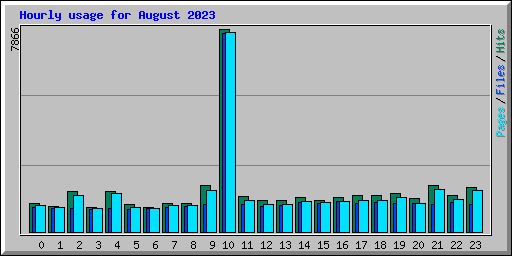 Hourly usage for August 2023