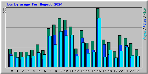 Hourly usage for August 2024