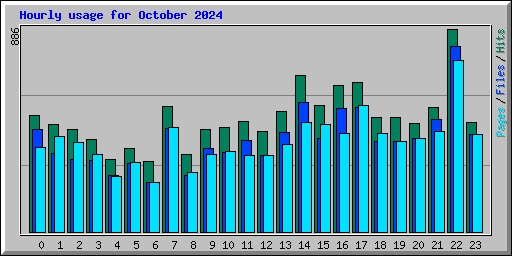 Hourly usage for October 2024