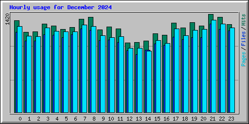 Hourly usage for December 2024