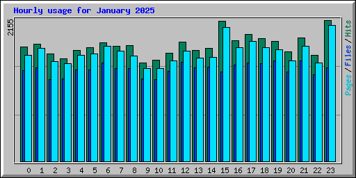 Hourly usage for January 2025