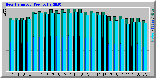 Hourly usage for July 2025