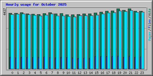 Hourly usage for October 2025