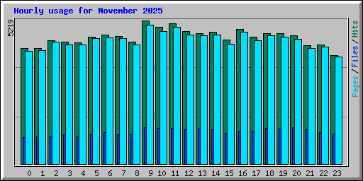 Hourly usage for November 2025