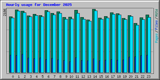 Hourly usage for December 2025