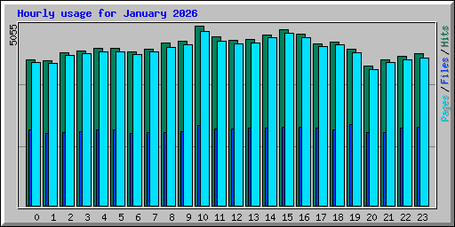 Hourly usage for January 2026