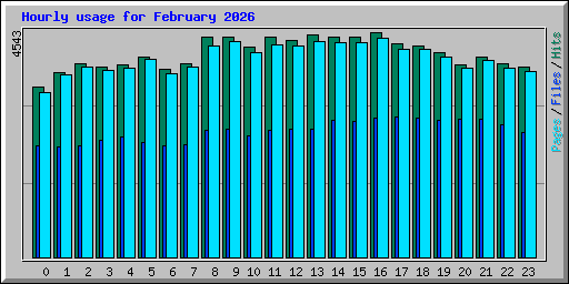 Hourly usage for February 2026