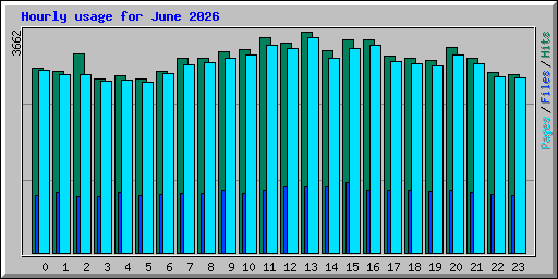Hourly usage for June 2026