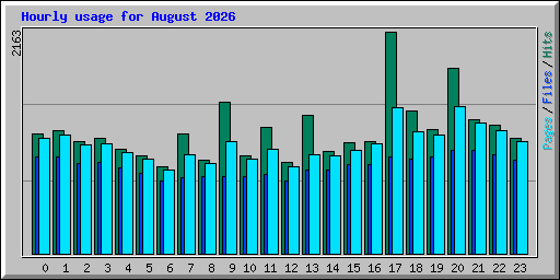 Hourly usage for August 2026